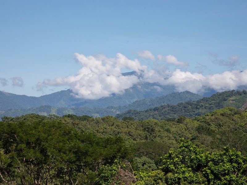 0 bed Lot/Land For Sale in ,  - 1